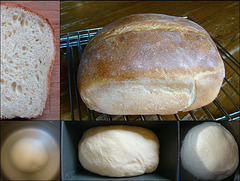 Water-Proofed Bread