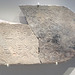 Pella : Inscription grecque.