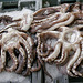 Funchal. Mercado dos Lavradores. Frisch gefangene  Gewöhnliche Krake  (Octopus vulgaris). ©UdoSm