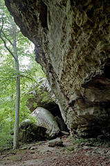 Bell Smith Springs Rock Formation