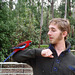 Théo and the rosella