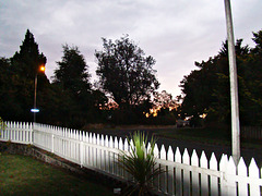 Evening at our  front fence
