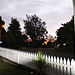 Evening at our  front fence