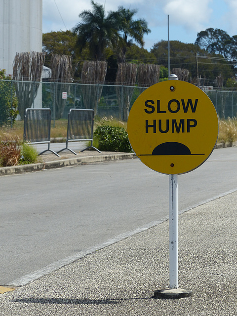 Slow Hump - 10 March 2014
