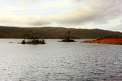 Loch Assynt - Small Islands