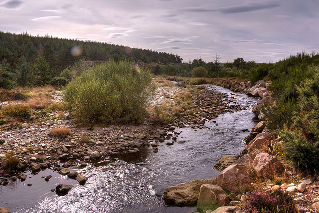 Strathrory River 3