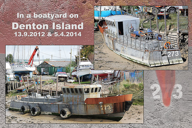 273 - Denton Island - Newhaven - 5.4.2014