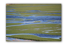 Cuckmere water meadows - 13.2.2014