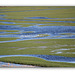 Cuckmere water meadows - 13.2.2014