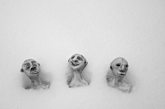 Snowbound Trio