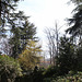 Jardin Lecoq printanier  (3)
