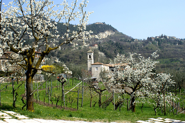 Primavera a Tremosine.  ©UdoSm