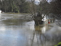 floodsfeb2014 (1001)