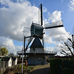 Windmill Nieuw Leven (New Life)