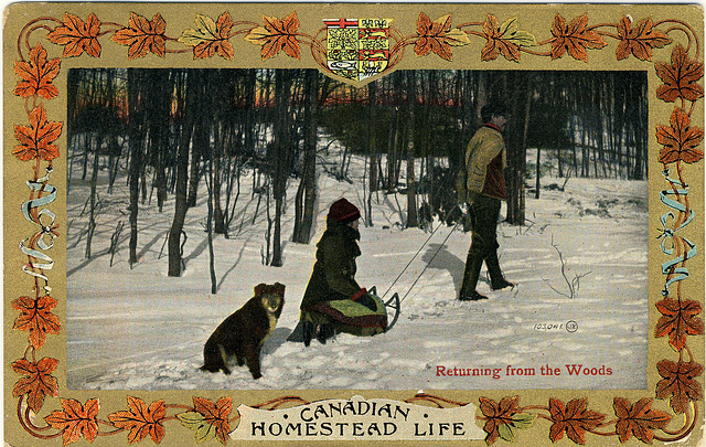 Canadian Homestead Life - Returning from the Woods (103,041)