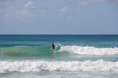 Noosa Surf Festival