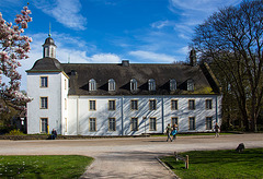 20140320 1061VRAw [D-E] Magnolie, Schloss Borbeck, Essen