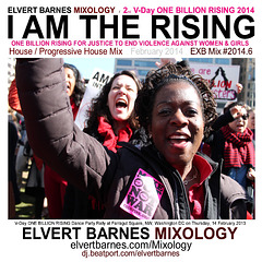 CDCover.IAmTheRising.House.VD.February2014