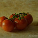 Vine Ripe Tomatoes and Lenabem Texture 030414