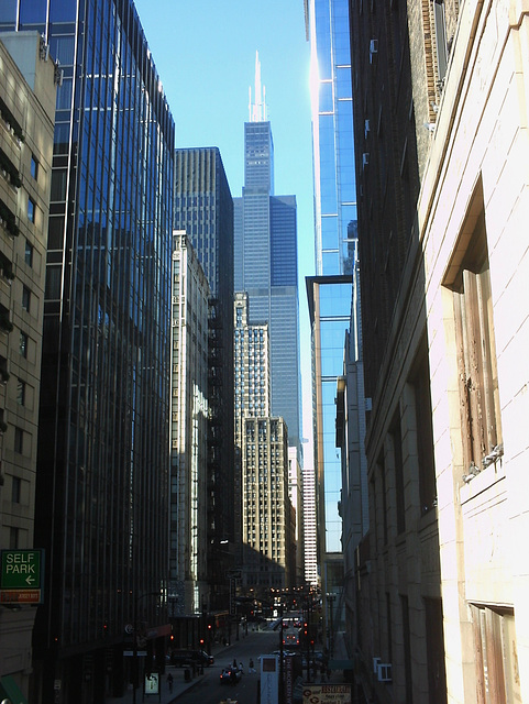 Chicago street canyon - looking towards Sears Tower.