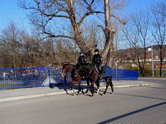 Mounted Police Women