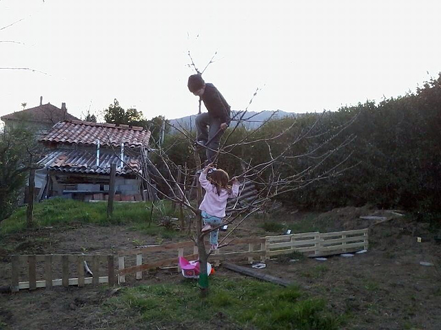 L'arbre aux enfants qui ont délaissé leurs tablettes ))
