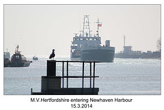 MV Hertfordshire entering Newhaven Harbour - 15.3.2014