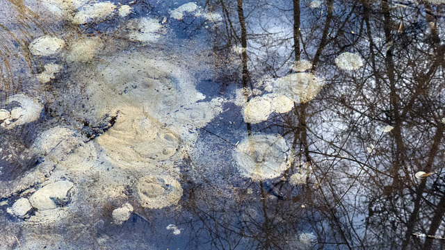 l'étang aux sorcières  : les résurgences or groundwater bubbles