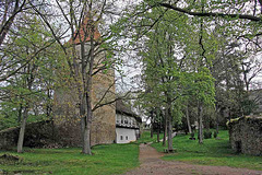 Zvíkov Castle_6
