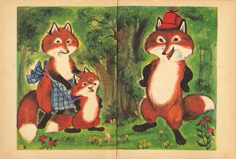Little Fox - Endpapers