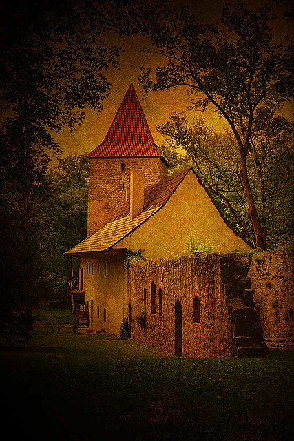 Zvíkov Castle 3