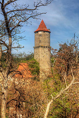 Zvíkov Castle 10