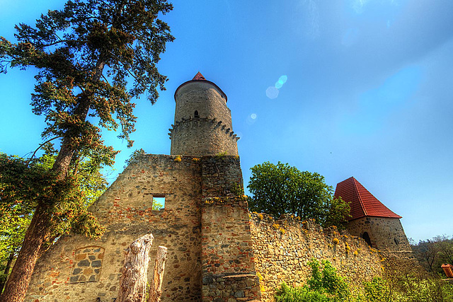 Zvíkov Castle 14