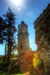 Zvíkov Castle 15