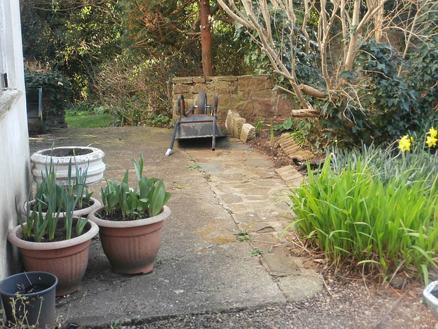 The front patio is starting to look tidy