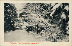 Mid-winter, Point Pleasant Park, Halifax, N.S.