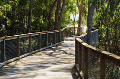 Walkway to the Water
