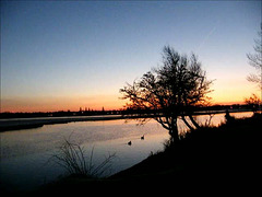 winter dawn at Port Meadow