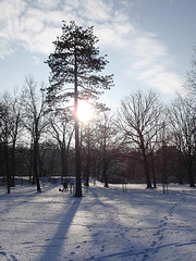 Stromovka_Winter