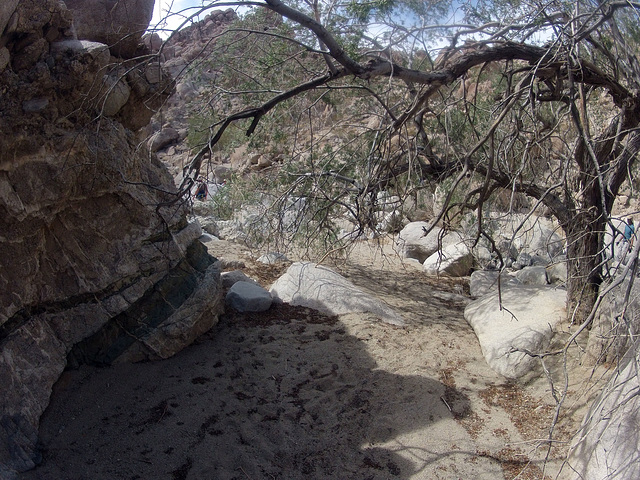 Petroglyph Canyon (115348)