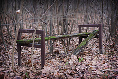 Bench_Decay