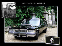 1977 Cadillac hearse - Nunhead Cemetery - 19.5.2007