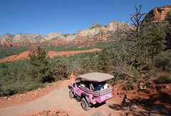 0501 152926 Pink Jeep in Coconino National Forest