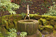 Kiku Bachi – Japanese Garden, Portland, Oregon