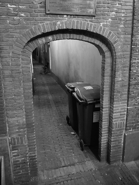 Bins hiding in an alley