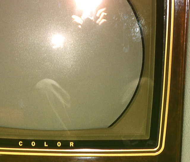 Reflections on a RCA Victor Super Color Television, 1962 (Detail)