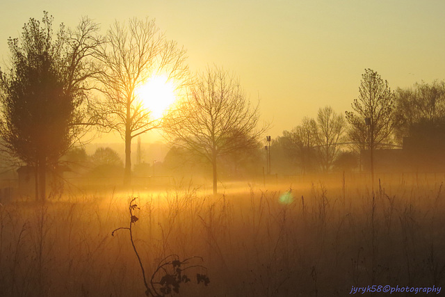 Golden Misty Morning