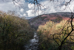 Blick zum Dartmoor - 20140327