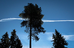 turning contrail