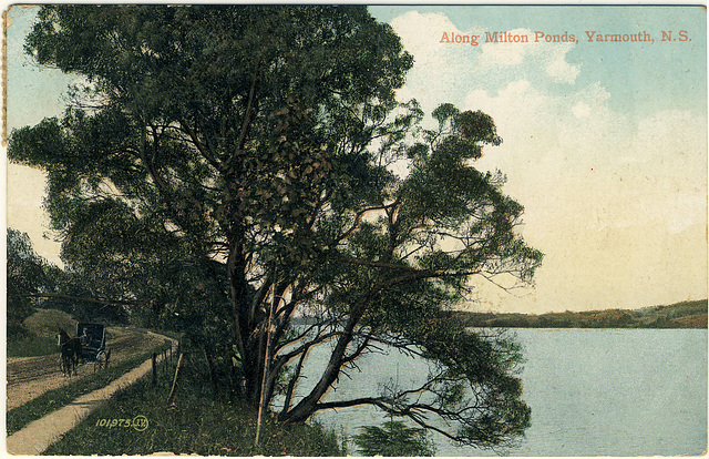 Along Milton Ponds, Yarmouth, N.S.